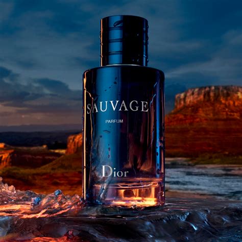 the bay dior sauvage|Dior Sauvage perfume.